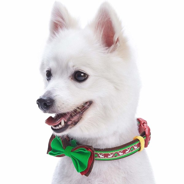 Pet Christmas Dog Collar