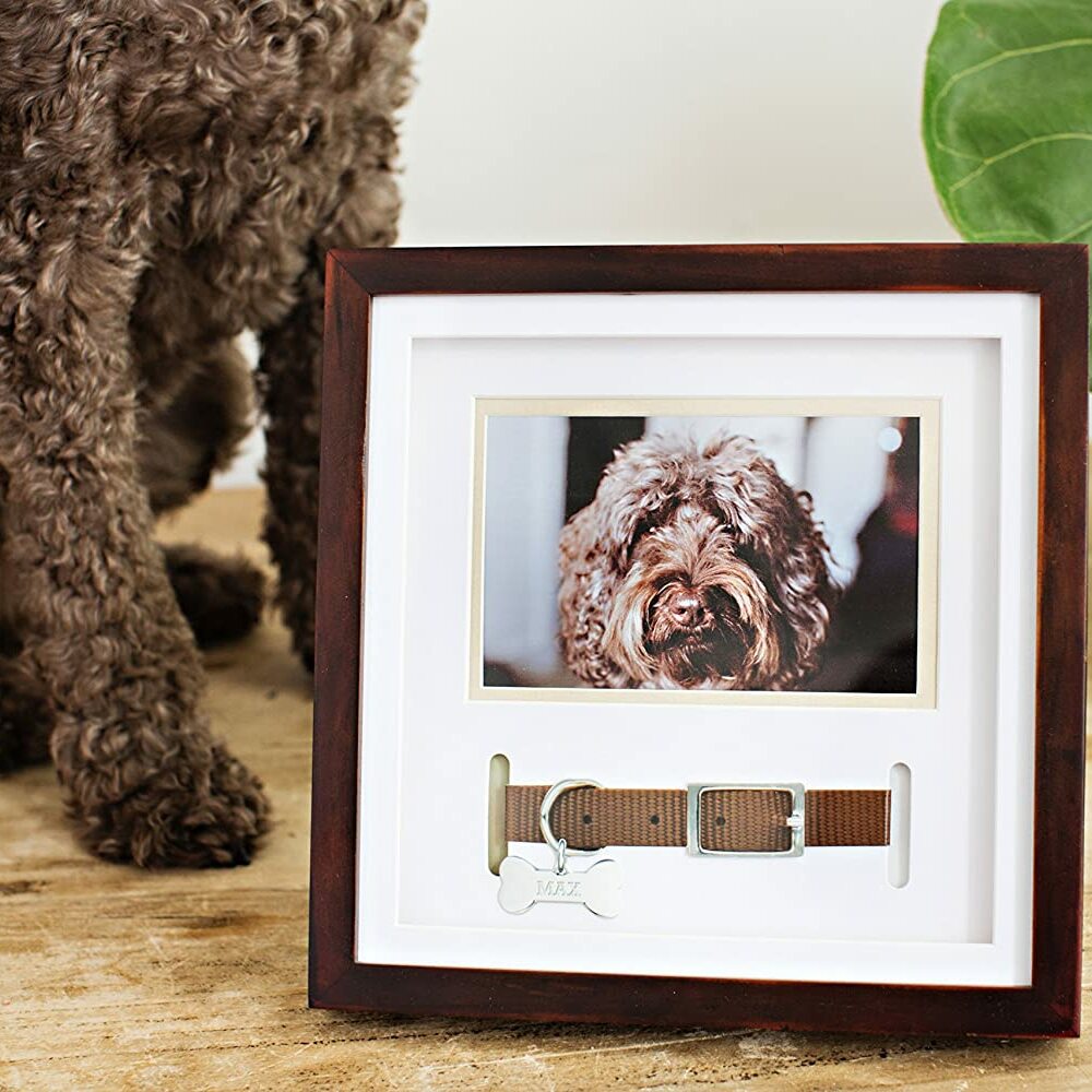 Pet Sentiment Picture Frame