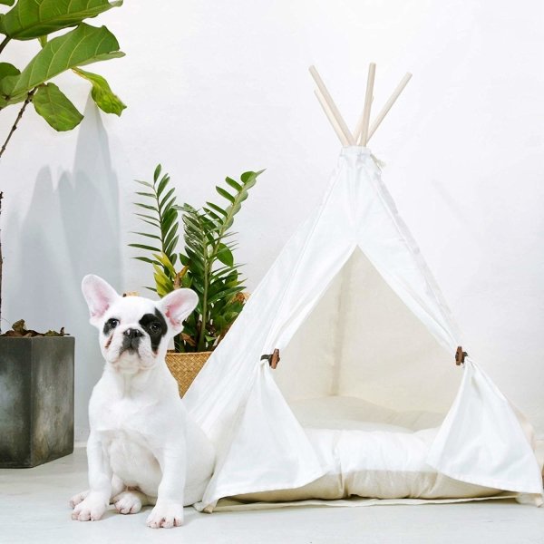 Pet Teepee