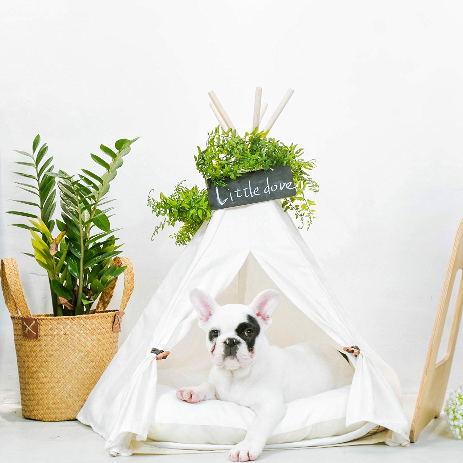 Pet Teepee