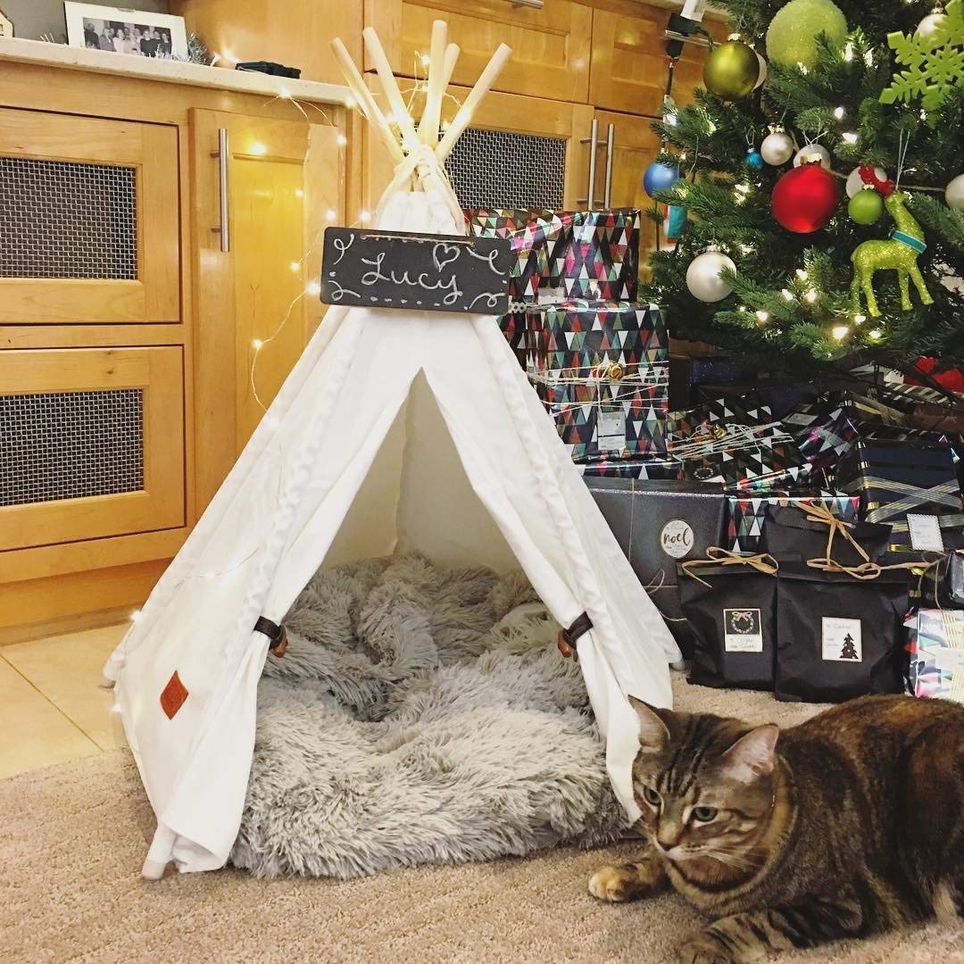 Pet Teepee