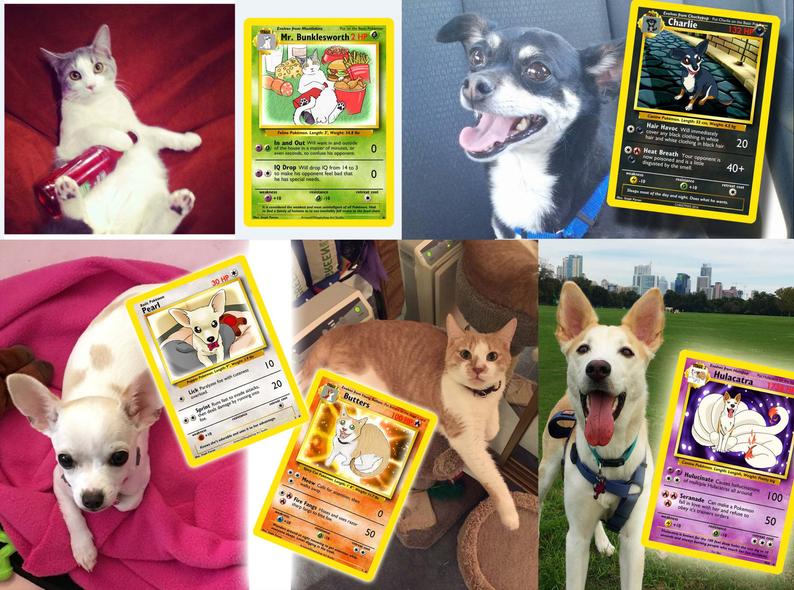 Picrure of Your Pet as a Pokemon Card