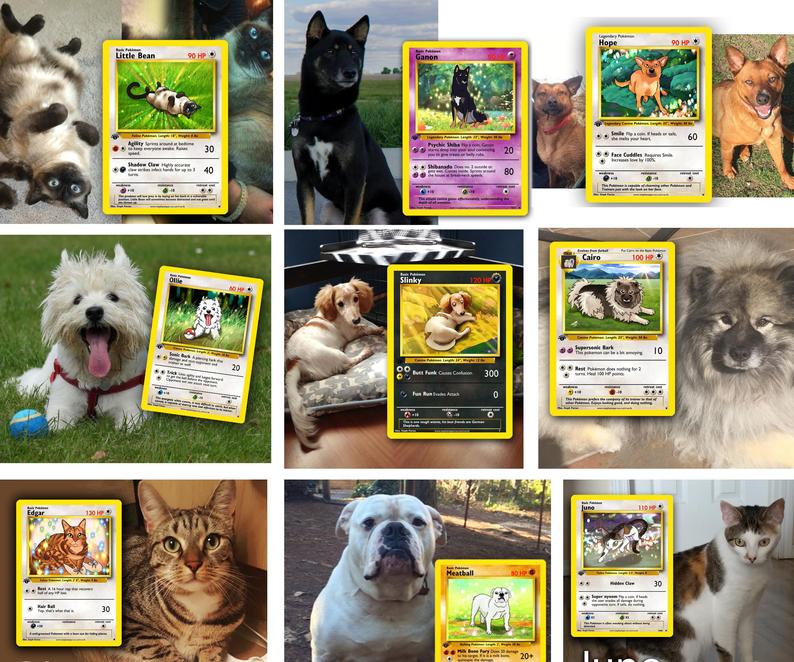 Picrure of Your Pet as a Pokemon Card
