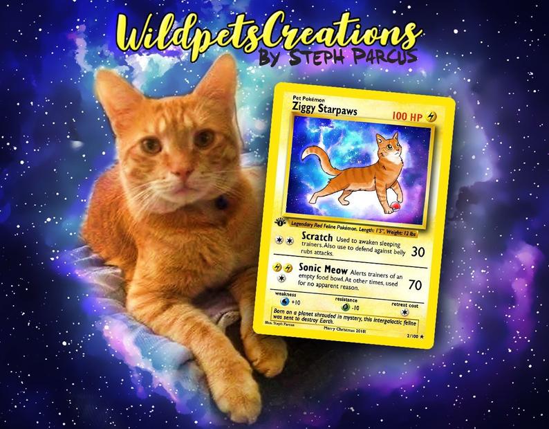 Picrure of Your Pet as a Pokemon Card