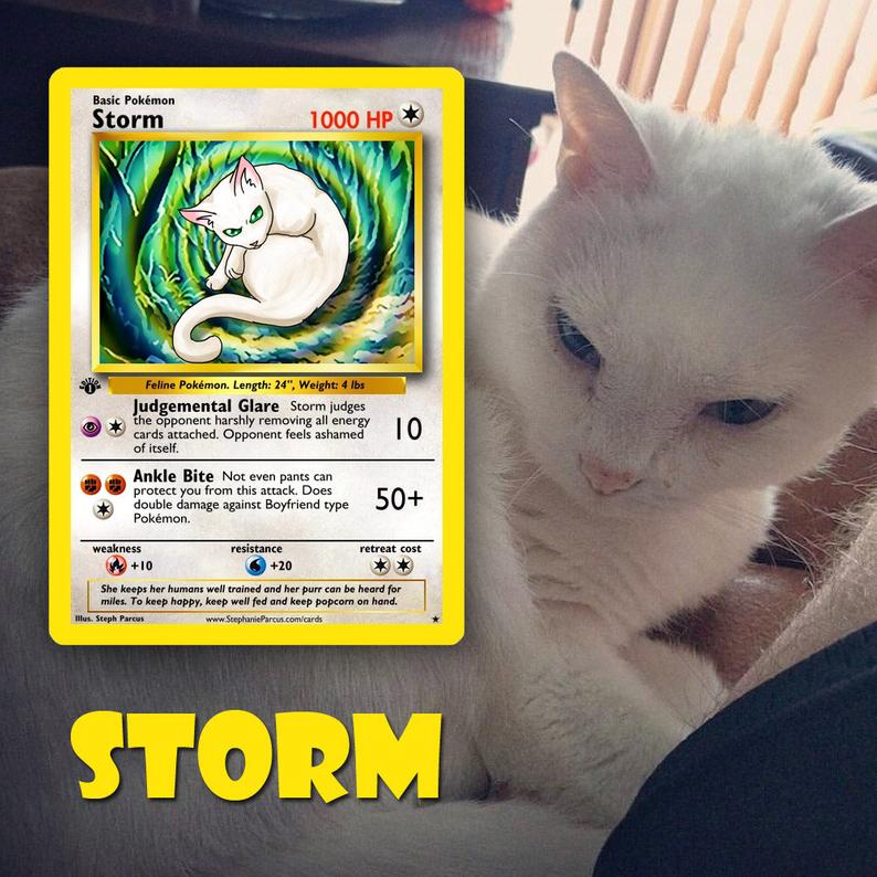 Picrure of Your Pet as a Pokemon Card