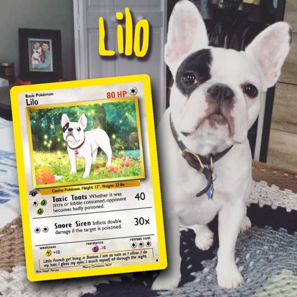 Picrure of Your Pet as a Pokemon Card