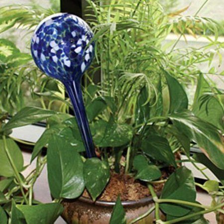 Plant Watering Bulbs