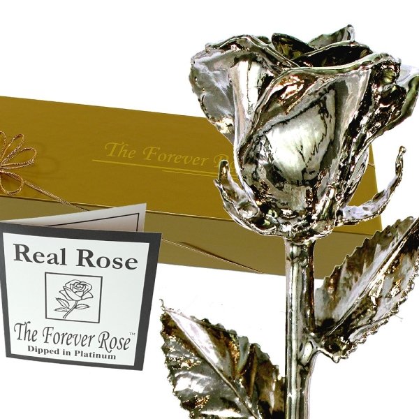 Platinum Dipped Rose