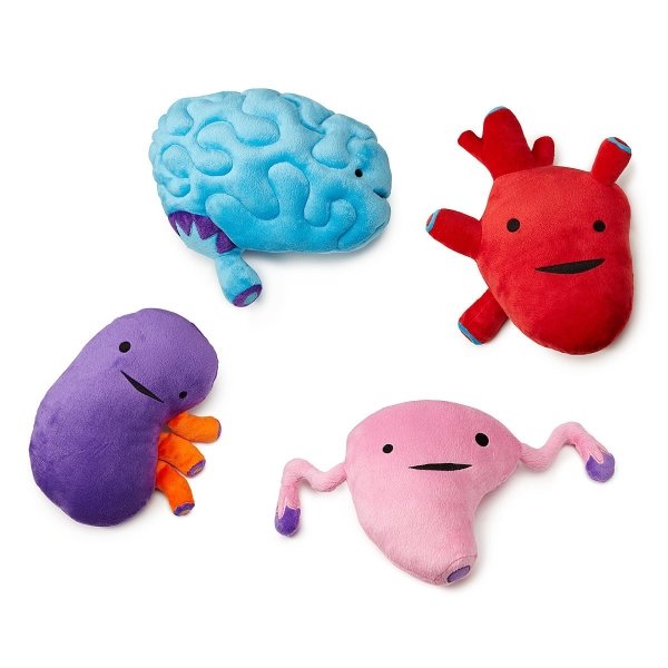 stuffed organs plush