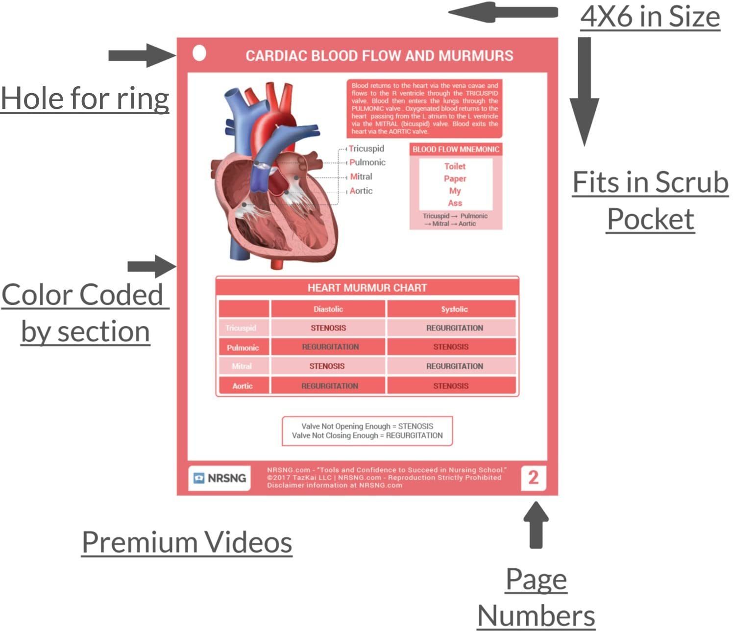 Pocket Sized Nurse Reference Cards