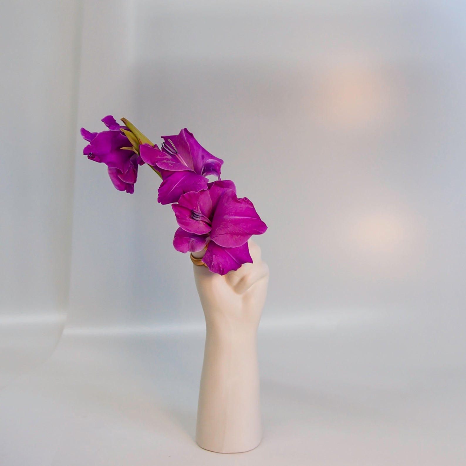 Porcelain Hand Vase