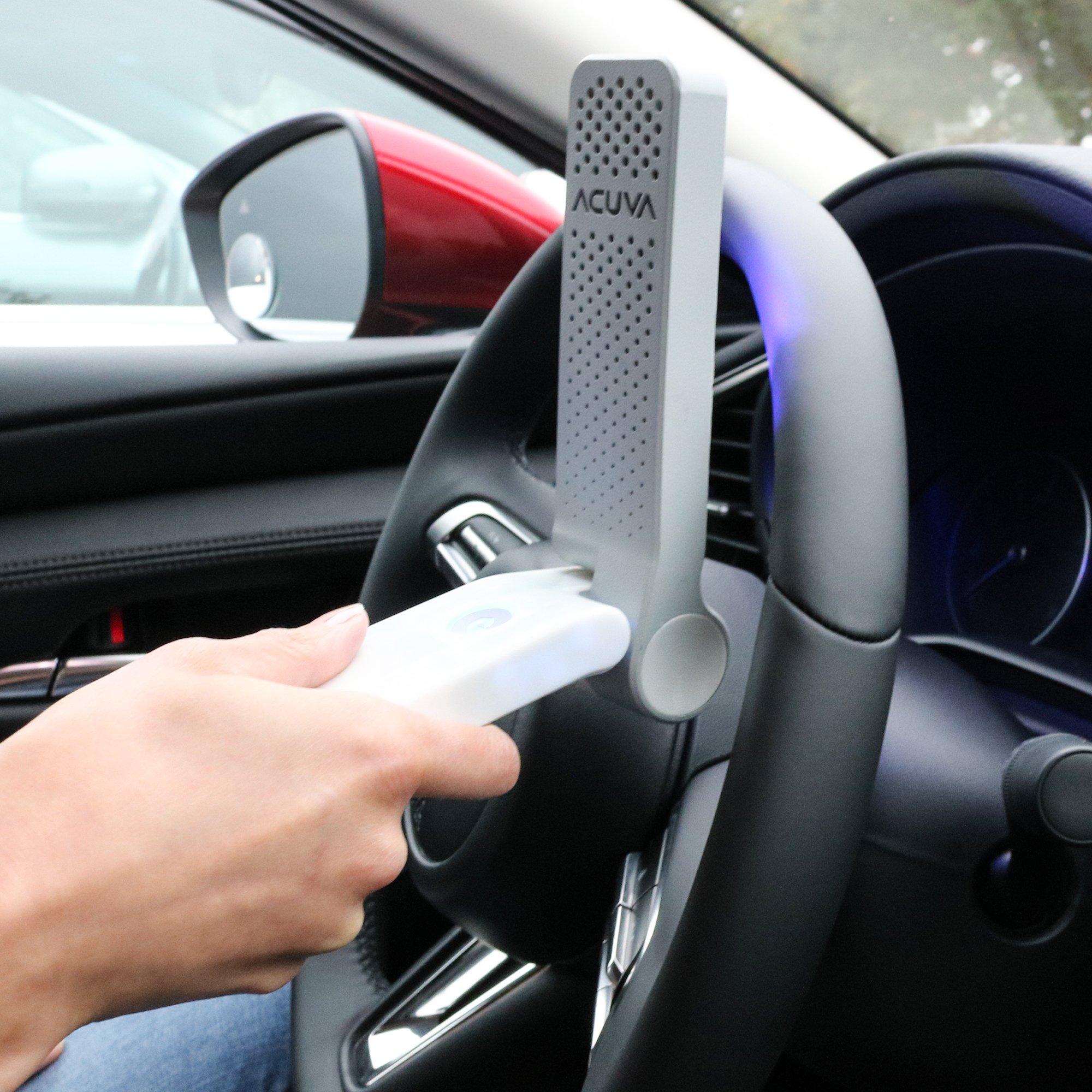 Portable Disinfection Device