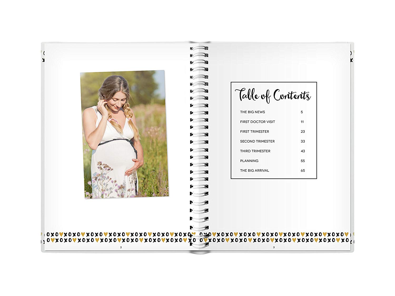 Pregnancy Journal Book