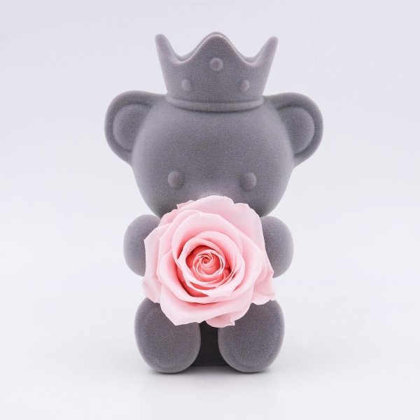 Preserved Roses Teddy Bear