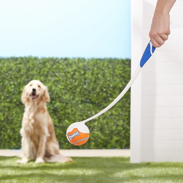 Pro Ball Launcher