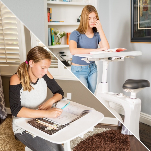 Pro Cycle Desk