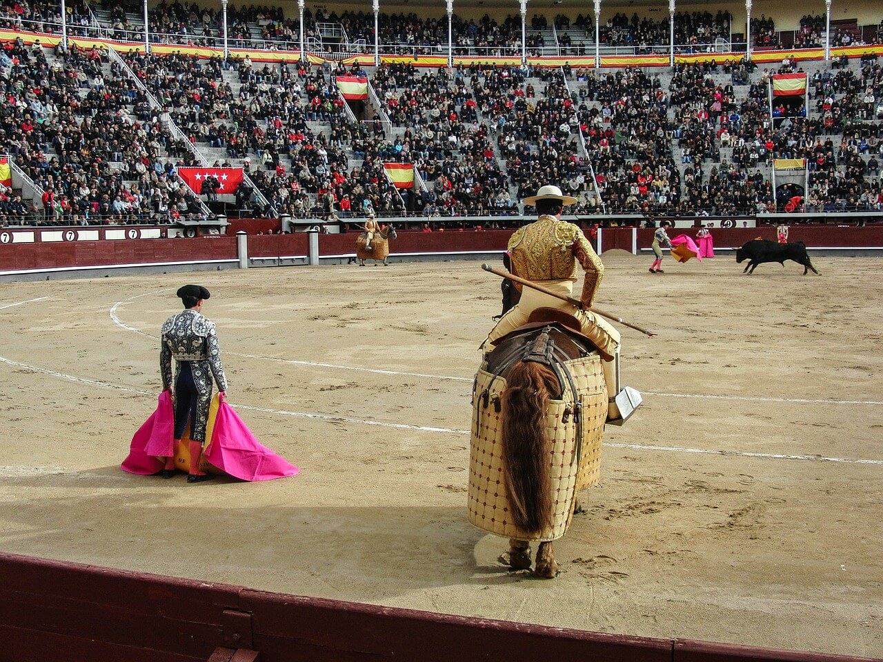 Professional Bullfighting Cape