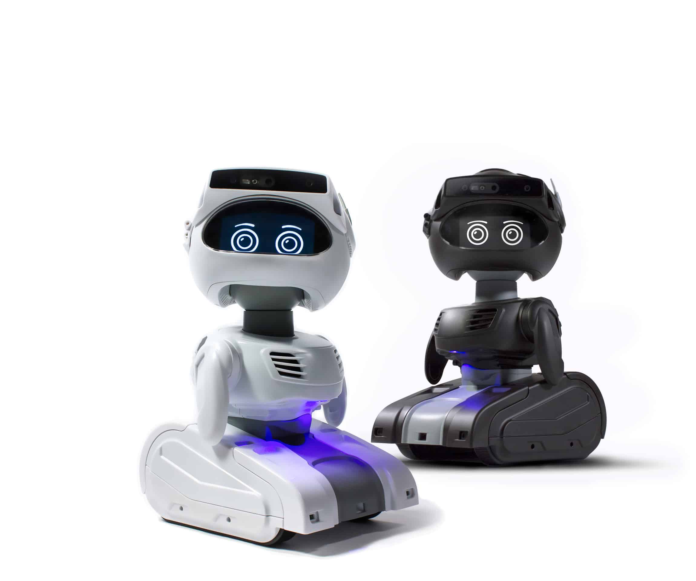 Programmable Personal Robot