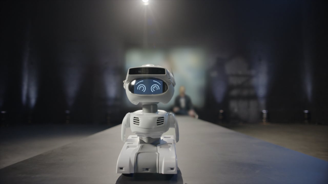 Programmable Personal Robot