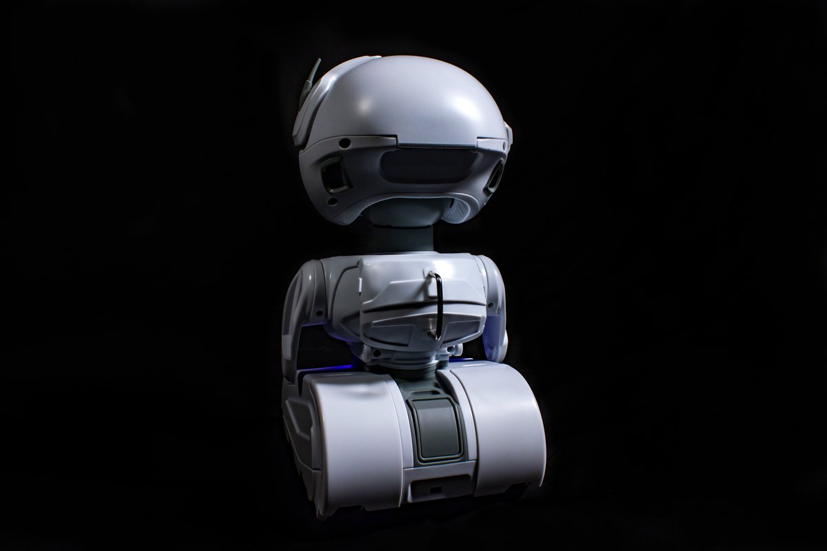 Programmable Personal Robot