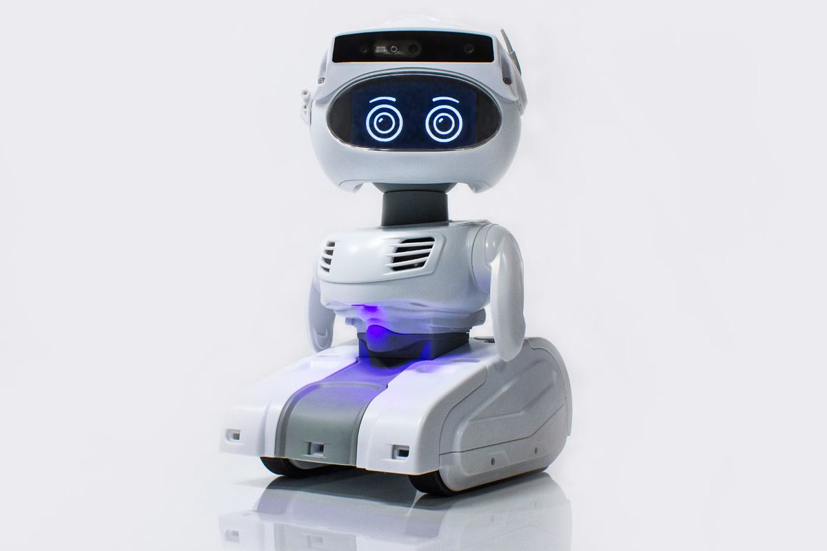 Programmable Personal Robot