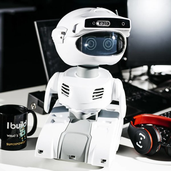 Programmable Personal Robot