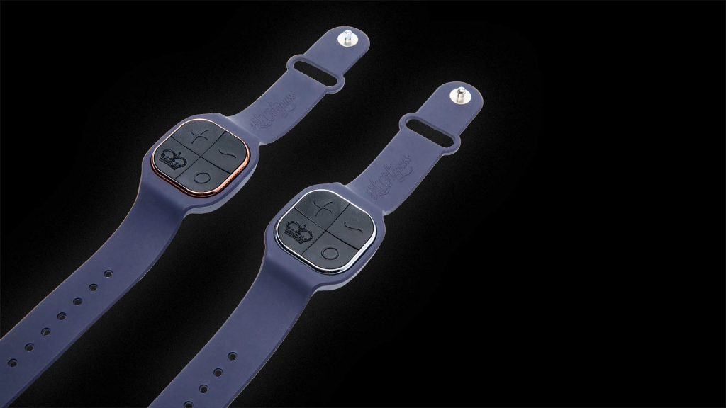 Pulse Duo Lux Couple's Sex Toy