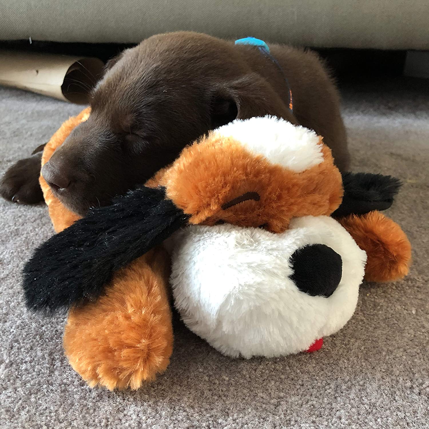  Puppy Behavioral Aid Toy