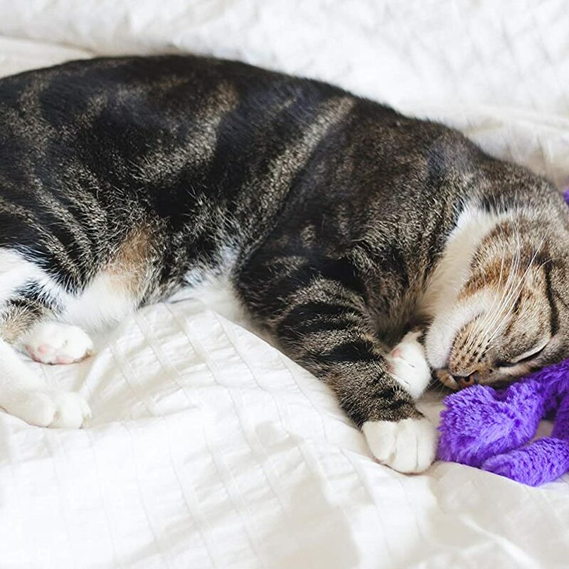 Purr Pillow Cat Toy