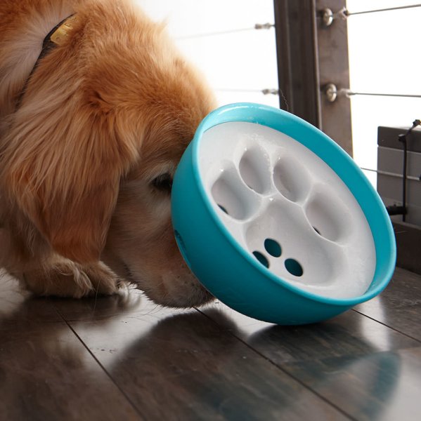 Puzzle Feeder Dog Bowl