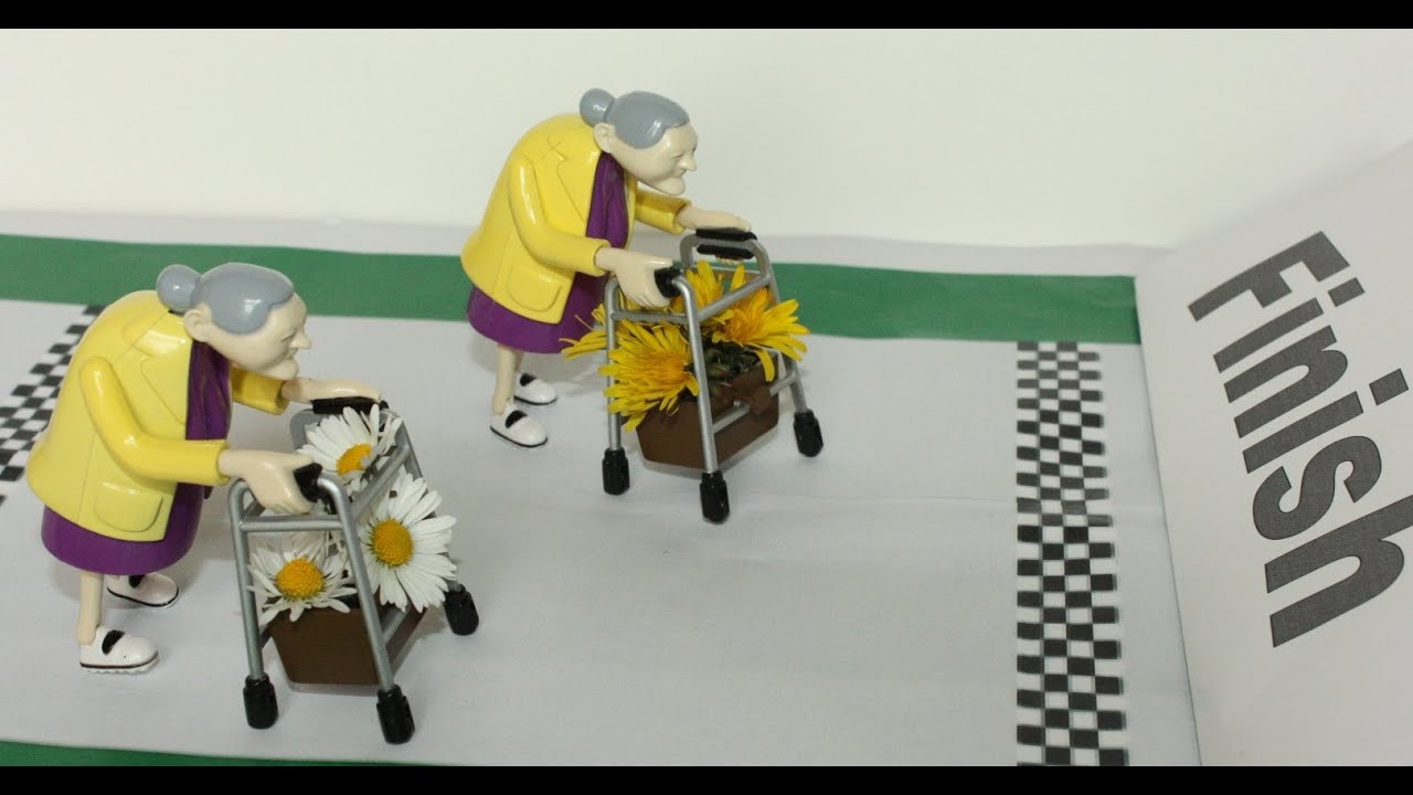 Racing Grannies Game