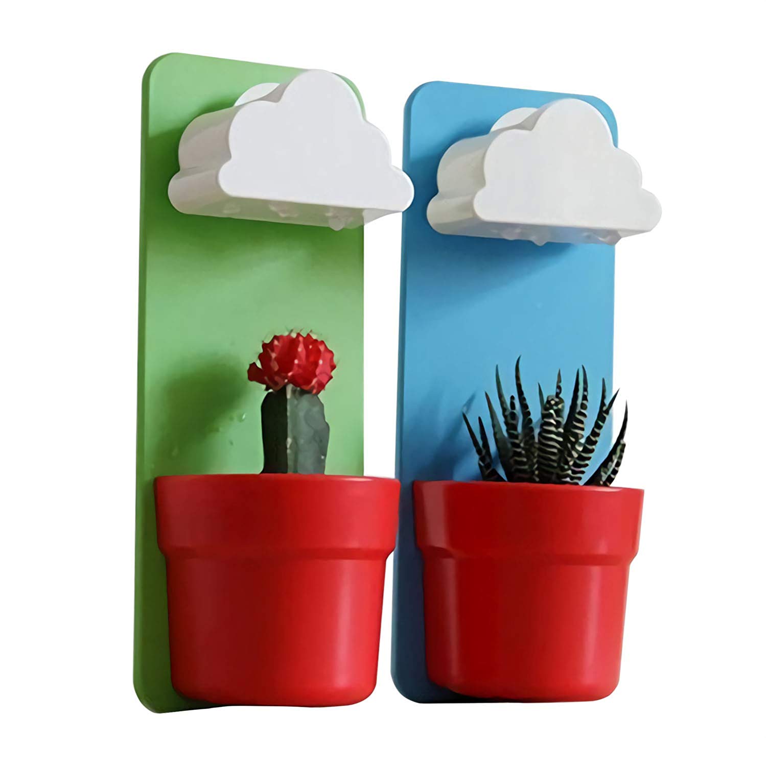 Rain Cloud Watering Pot