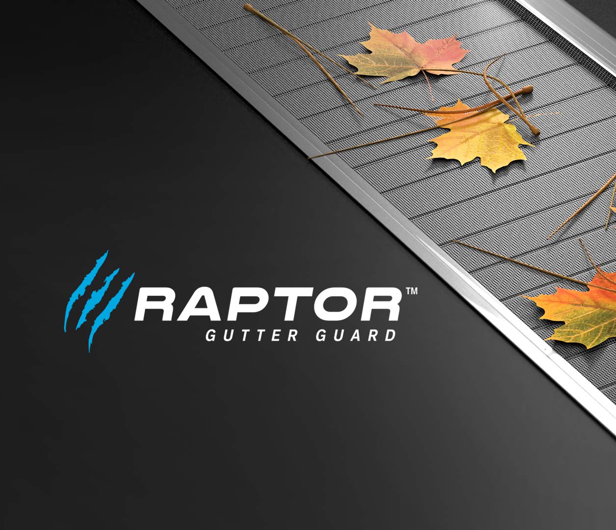 Raptor Gutter Guard