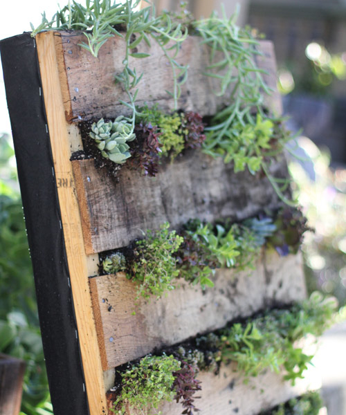Recycled Pallet Vertical Garden
