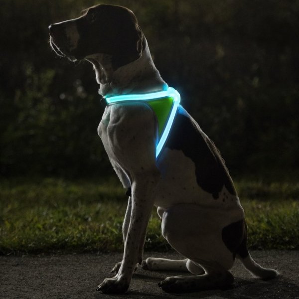 Reflective Harness for Dogs