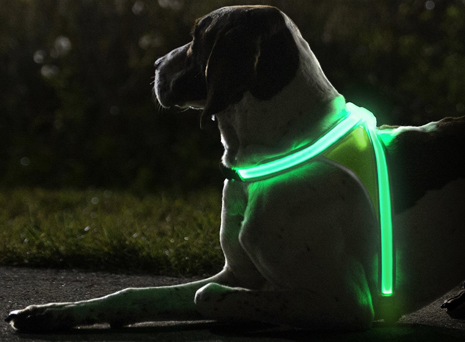 Reflective Harness for Dogs