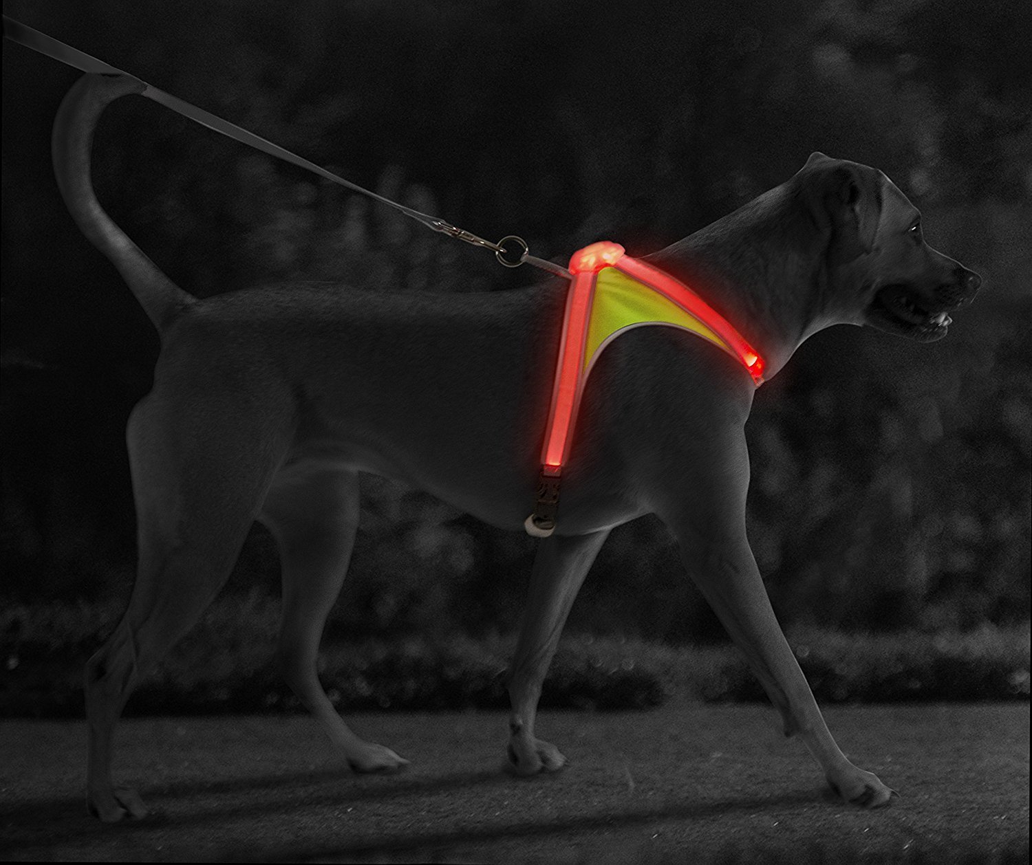 Reflective Harness for Dogs