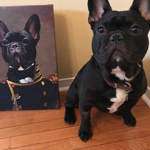 Renaissance Masterpiece Custom Pet Portrait