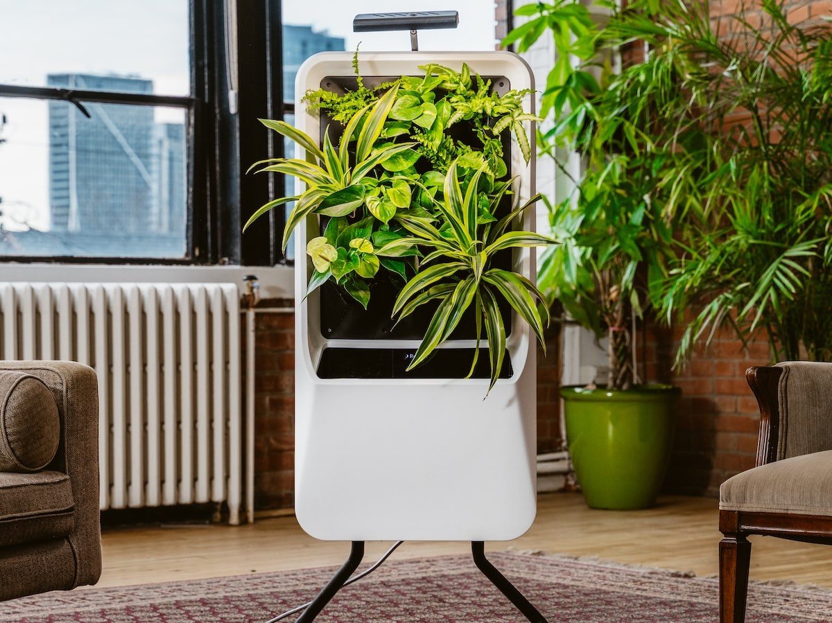 Respira Smart Air-purifying Garden