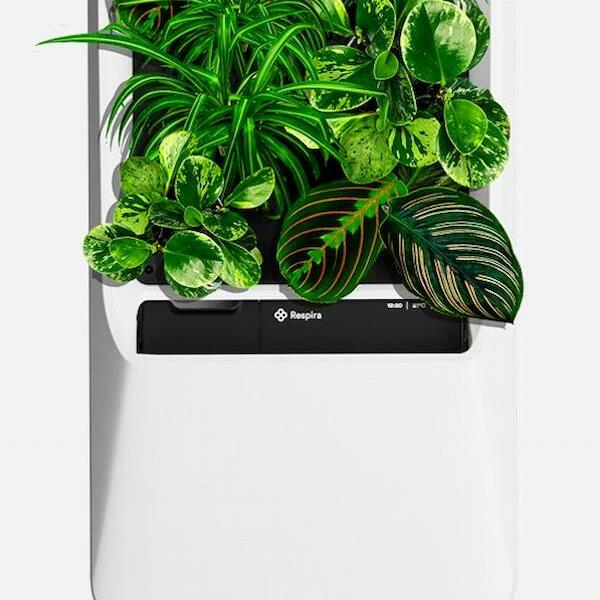 Respira Smart Air-purifying Garden