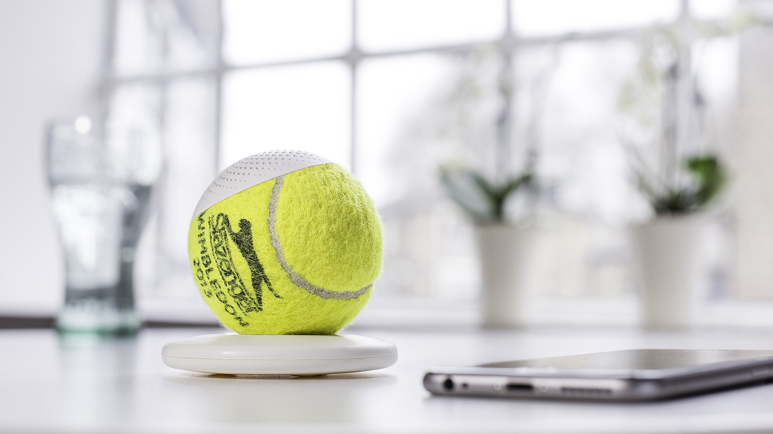 Reused Championship Ball Speaker