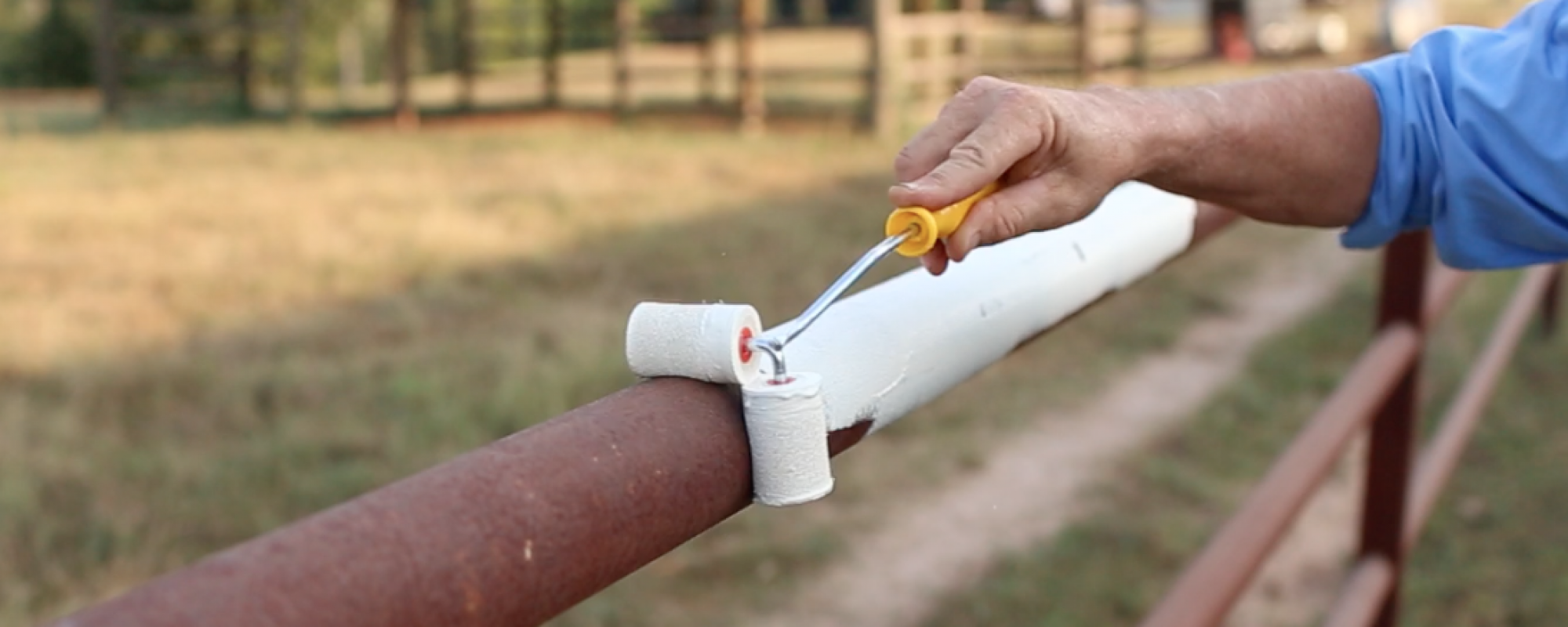 Roll-All Dual Paint Roller