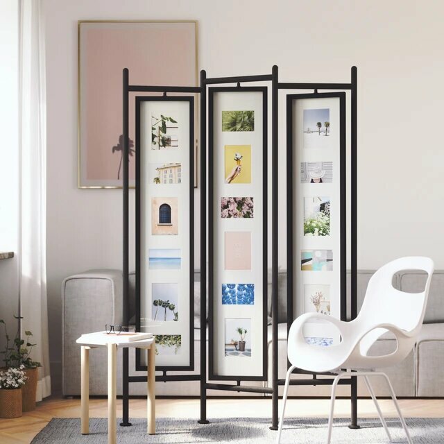 Room Divider and Photo Display