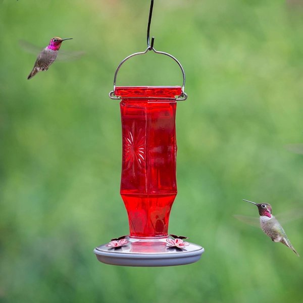 Ruby Glass Hummingbird Feeder