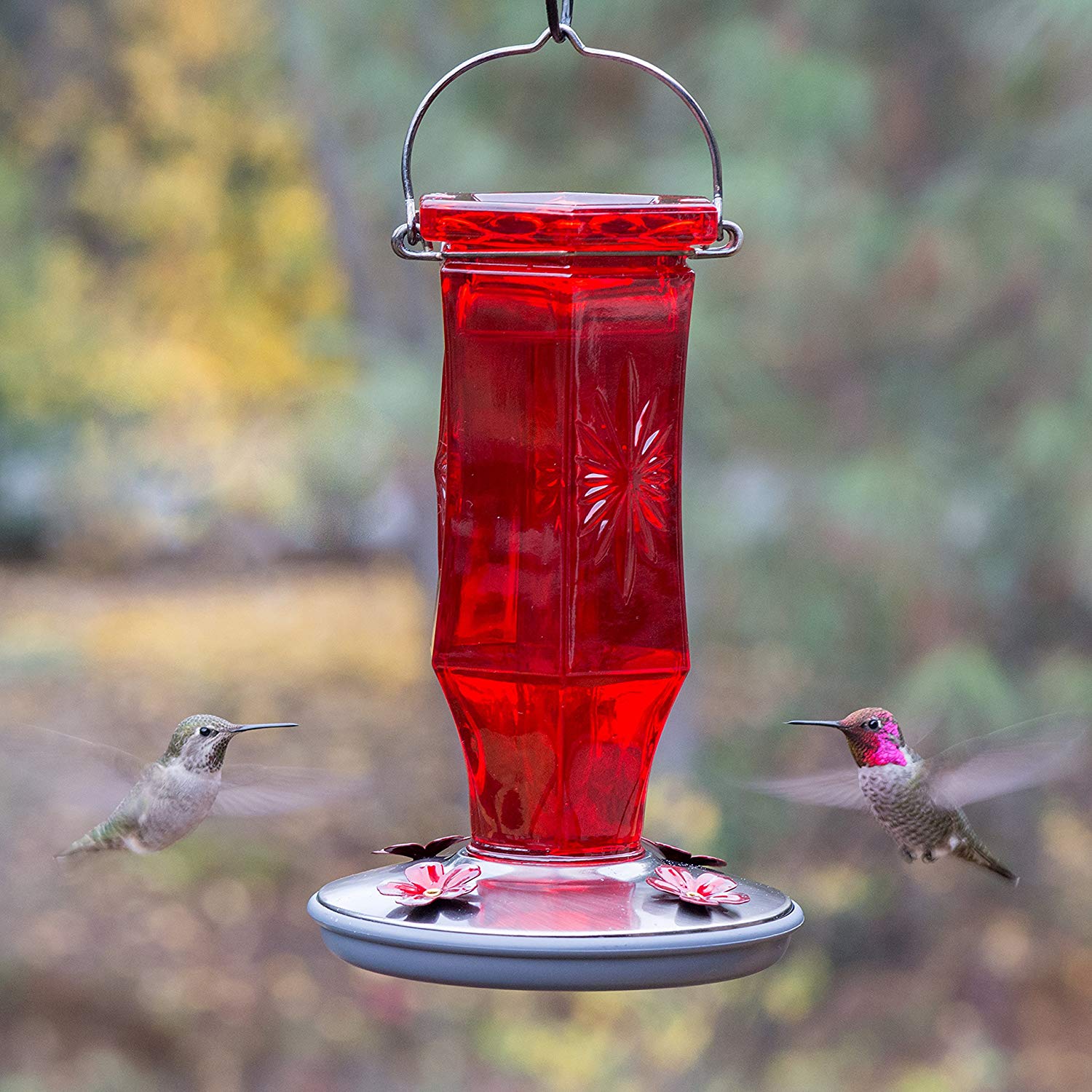 Ruby Glass Hummingbird Feeder