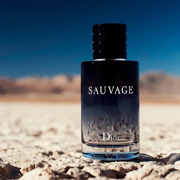 sauvage 2015 christian dior