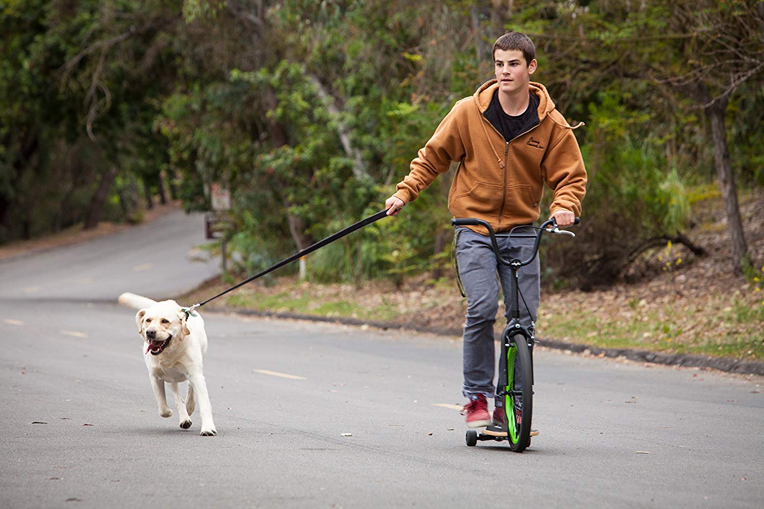 Sbyke: Skateboard and Bicycle in One