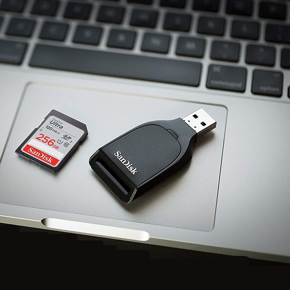  SDHC Flash Memory Card