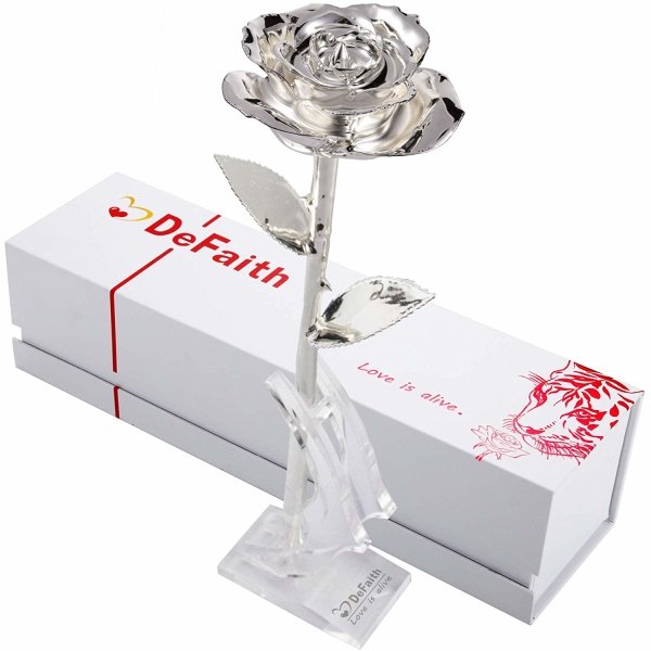 Silver Dipped Real Rose