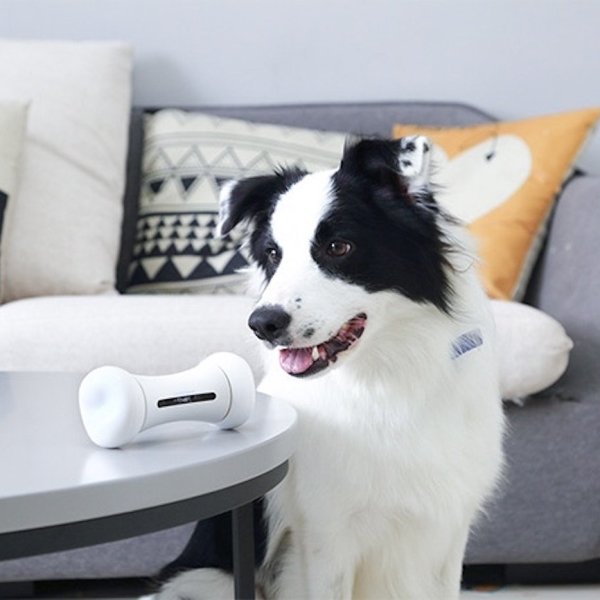 Smart & Interactive Bone Dog Toy